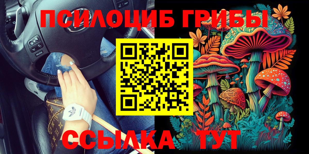 Псилоцибиновые грибы MAGIC MUSHROOMS Советская Гавань