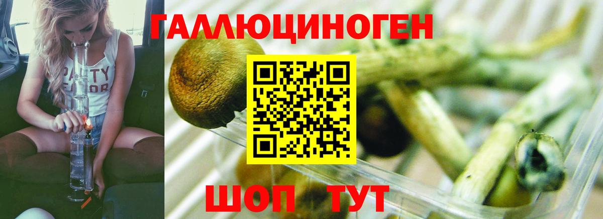 Галлюциногенные грибы GOLDEN TEACHER  Вход с VPN  Советская Гавань 